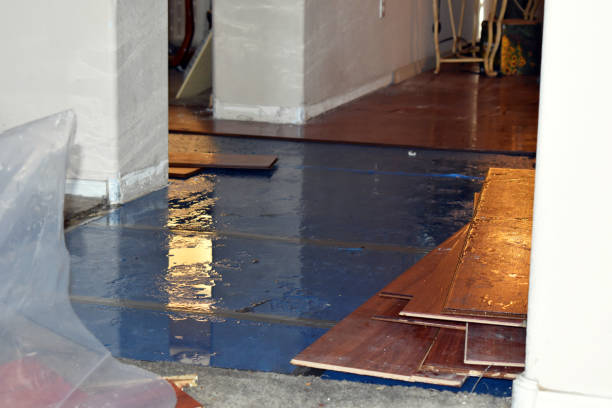 Professional Burst Pipe Cleanup technician working in Lake, MI