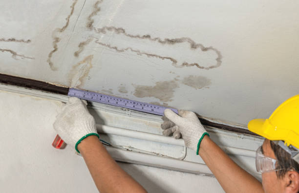 Reliable Burst Pipe Cleanup contractor in Lake, MI by Local Water Damage Repair